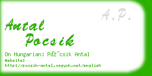 antal pocsik business card